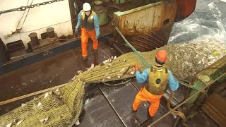 Big Net fishing processing on a frozen fishing Boat Modern Fish Processing amp Fishing Net Video [upl. by Philbrook]