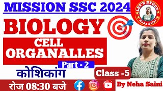 class  5  Cells animal cells gcse  कोशीकांग cell Organelles  Mission SSC 2024 25 [upl. by Ahsekram279]