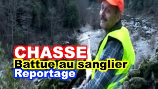 CHASSE  Battue au sanglier en Ardèche [upl. by Anyela]