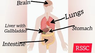 शरीर में क्या problem है। इन prefix se समझ सकते हैं RavalsinghStudyCentre organ humanbody [upl. by Katharine]