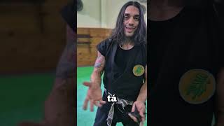 Como usar a Shuriken 🥷🔥 escoladeninjas ninjutsu Ninja kotatsudojo bujinkan [upl. by Ecirad]