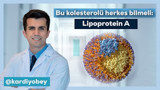 Tehlikeli Bir Kolesterol Lipoprotein A Nedir Riskleri Nelerdir [upl. by Thisbee567]