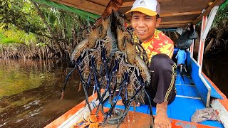 Sangat memuaskan mancing kali ini 1 spot sampai 4 babon udang berhasil diselamatkan [upl. by Llenet]