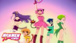 Mew Mew PowerEpisode 1 The Main Mews Muse English [upl. by Draper56]