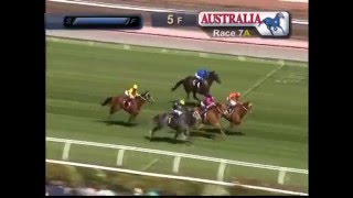 LIGHTNING STAKES 2016  Chautauqua [upl. by Cirdet]