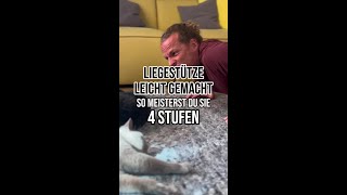 Liegestütze leicht gemacht [upl. by Ion]