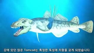 퇴화의 증거를 진화의 증거라고 주장하는 진화론자들  독성 저항 물질을 가진 Tomcod [upl. by Arrotal]