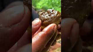 Huge Rare Lemon Sapphire Discovered 😲💎🤑 gems gold crystals satisfying shorts rockhounding [upl. by Heller]