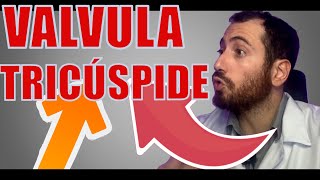 Conheça sua valvula tricúspide [upl. by Eilah]