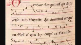 Hildegard von Bingen O rubor sanguinis with score [upl. by Adliw715]