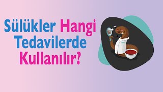 Sülük Tedavisi Nedir Sülükler Hangi Tedavilerde Kullanılır [upl. by Swamy475]