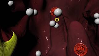 Beta Blockers for Hypertension high blood pressure Arrhythmias irregular heartbeat [upl. by Nylasoj986]