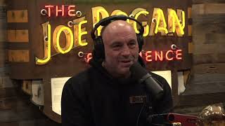 Joe Rogan Whats Going ON with Jordan Peterson [upl. by Naerb]