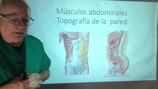 Músculos del abdomen Prensa abdominal maniobra de Valsalva [upl. by Justin297]