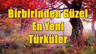 Birbirinden Güzel En Yeni Türküler KESİNTİSİZ  HD 2024 [upl. by Rainah]