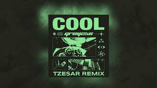 Grey 256  Cool TZESAR Remix [upl. by Akenehs439]