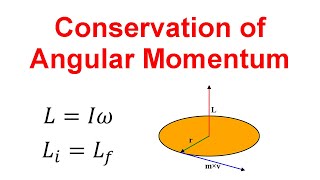 Angular Momentum Conservation Equations and Examples [upl. by Ruggiero]