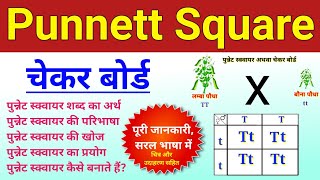 punnett square  punnett square basic introduction  checker board in hindi  punet square genetic [upl. by Mitran]