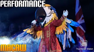 Macaw Performs quotYour Songquot By Elton John  Masked Singer  S9 E12 [upl. by Plafker624]