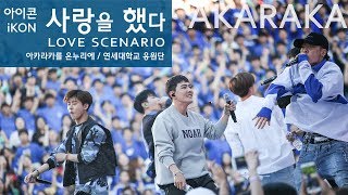 iKON Love Scenario live  아이콘 사랑을 했다 떼창  Fanchant Fancam  AKARAKA 2018 아카라카 연세대 축제 [upl. by Aihsekin]