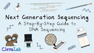 Next Generation Sequencing  A StepByStep Guide to DNA Sequencing [upl. by Leanatan742]