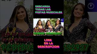 Pistas Musicales de AGRUPACION LERIDA  SHORTS pistasmusicales pistaskaraoke karaokesongs [upl. by Daisey817]