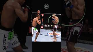 The Greatest Spinning Heel Kick ufc [upl. by Arat]