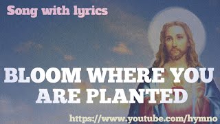 BLOOM WHERE YOU ARE PLANTED  HYMN OCEANCOVER SONGDEVOTIONALPRAYER SONG WITH LYRICS [upl. by Malinde]