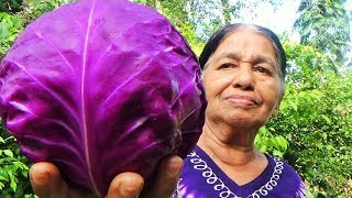 Village Foods  Cooking Purple Cabbage Red Cabbage by my Mom  Village Life [upl. by Atinra]