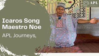 Ayahuasca song Icaro of a shipibo shaman  Maestro Noe [upl. by Yrrac]