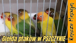 Giełda ptaków w Pszczynie 17092023 297 [upl. by Maclay]