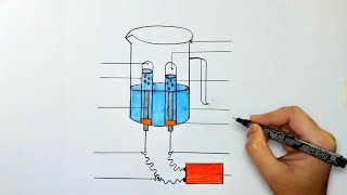 Electrolysis of water diagram  how to draw electrolysis of water diagram [upl. by Agem]