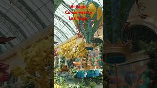 Bellagio Conservatory Las Vegas [upl. by Moguel930]