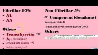 Pathology 066 b Amyloidosis Components [upl. by Annadiana]