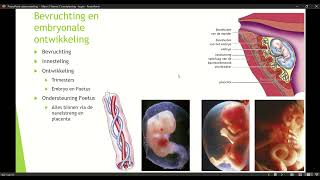 Klas 3 Mavo Thema 2 Voortplanting en Ontwikkeling basisstof 4 Bevruchting en Embryonale ontwikkeling [upl. by Granoff]