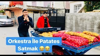 Orkestra İle Patates Soğan Satmak 😂😂  Sefa Kındır Mami [upl. by Warfold579]