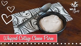 Whipped Cottage Cheese Puree  Bariatric Recipe [upl. by Dachy]