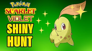 LIVE Shiny Starters Chikorita Shiny Hunting  Indigo Disk [upl. by Giacomo]