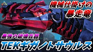 宇宙を彷徨う機械仕掛けの最強兵器quotTEKギガノトサウルスquot ARK survival Evolved 実況 [upl. by Ulyram483]