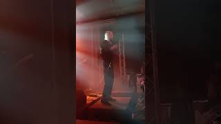 BOOTBLACKS  VOLKSPALAST KANTINE  30 Wave Gotik Treffen 2023  Leipzig  Germany shorts [upl. by Arin143]