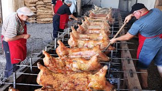 Festa do leitão porco no rolete costela pernil e sobrepaleta no espeto lombo e paleta no forno [upl. by Royd]