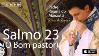 Padre Reginaldo Manzotti  Salmo 23  O Bom Pastor CD Sinais do Sagrado [upl. by Aillicsirp171]