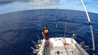 Marlin Fishing with Fishwinch Waianae Hawaii [upl. by Neuburger768]