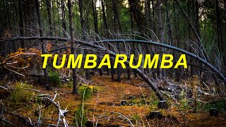 Tumbarumba Flow Trail  Raw Footage [upl. by Viole]