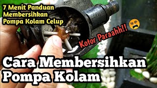 Cara Membersihkan Pompa Kolam Ikan Hanya 7 Menit  Tutorial Membersihkan Pompa Kolam [upl. by Tallu656]