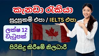 Cleaning jobs in Canada කැනඩාවේ රැකියා foreign job vacancies in Canada Sinhala sri lanka [upl. by Sterling]