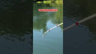 Catfish Tournament Fishing  HOW TO Win EVERY Time 🎣 shorts fishing [upl. by Allard]