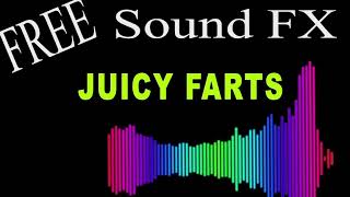 Free Sound Effects  10 Minutes of JUICY FARTS with AUDIO LEVELS  HD [upl. by Declan293]