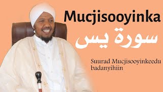 Mucjosooyinka Suurada Yaasiin سورة يس Sh Cabdirashiid Cali suufi [upl. by Portwine]