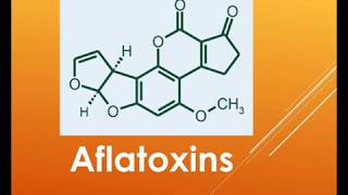 overview Aflatoxin [upl. by Rayner]